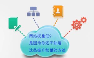 如何提升域名权重?看这里全知道-kim资源分享站