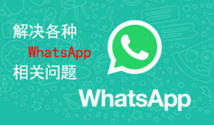 WhatsApp 联系人备注突然消失?解答-kim资源分享站