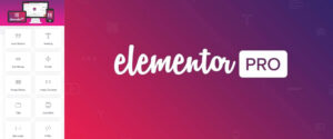 Elementor pro.3.22.1限时免费-kim资源分享站