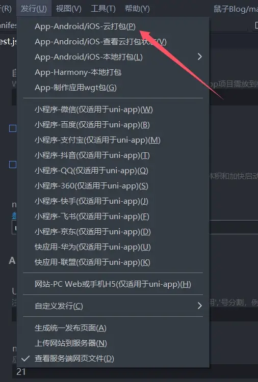 图片[3]-如何将网站打包成app？